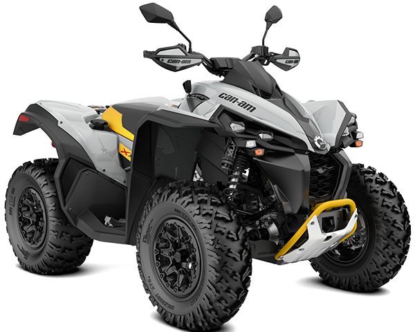 2024 Renegade X XC 650 T